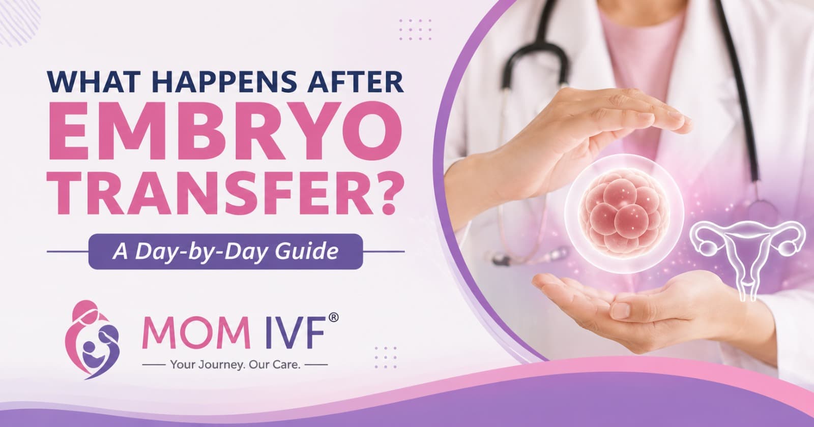 What Happens After Embryo Transfer? A Day-by-Day Guide